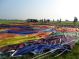 Deze Ballonvaart voer van Oudewater, de Zuiverboerderij, naar Polsbroekerdam. Ballonvaren in het Groene Hart van Zuid-Holland, is een ware belevenis. We zien vanuit de lucht Gouda, Montfoort, Linschoten, Lopikerwaard, Utrecht, woerden, nieuwenbrug, Bodegraven en nog veel meer. De ballonvaart wordt afgesloten met een traditionele champagnedoop in het weiland van de landeigenaar.